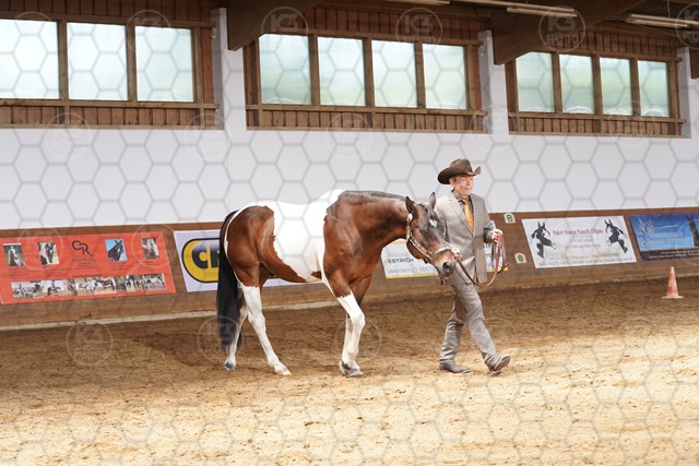 sA9K05020.JPG